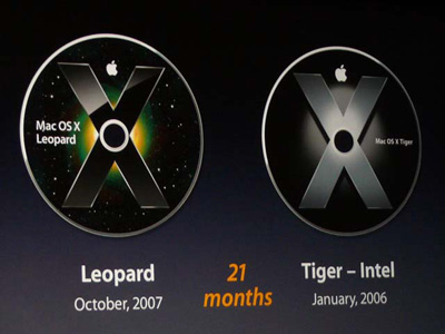 Tiger&Leopard.jpg